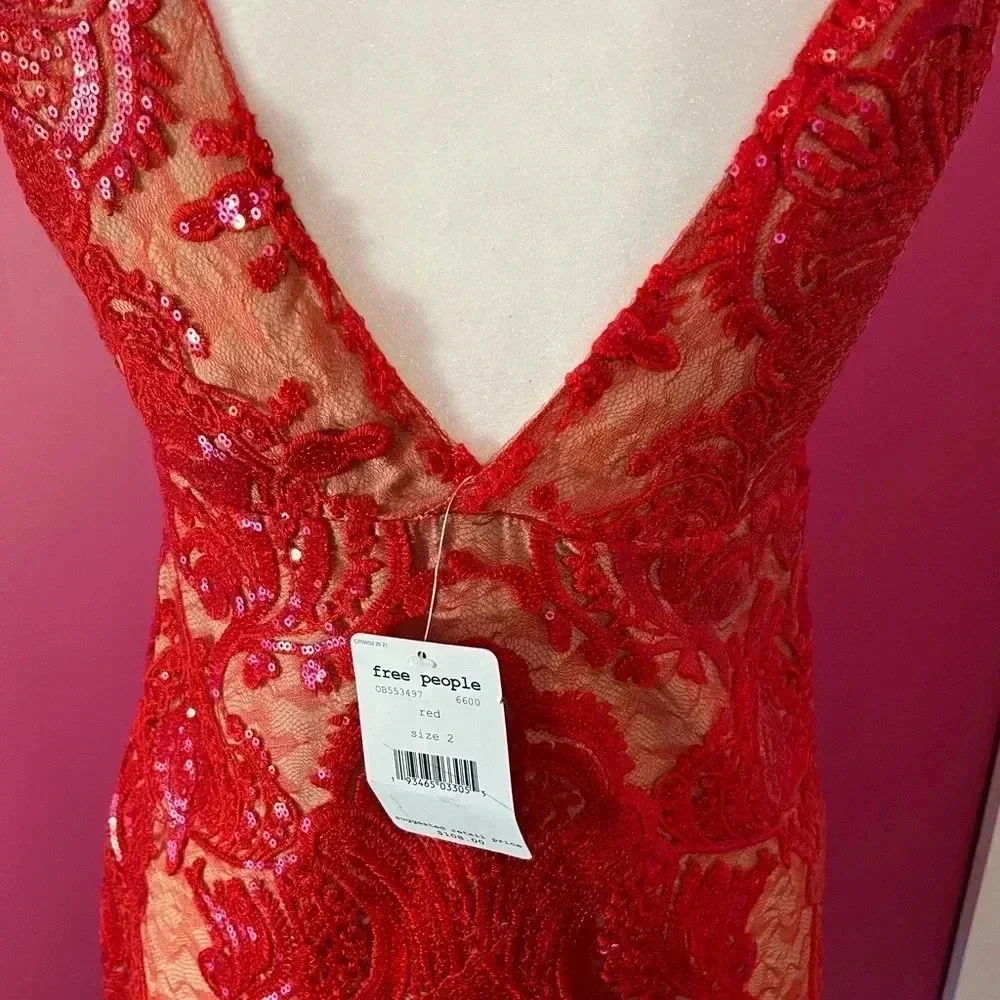 Free People lace and sequin dress